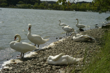 f:id:pprzrggn:20120907215335j:image f:id:pprzrggn:20120907215335j:image