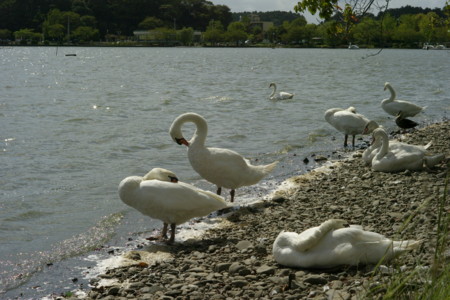 f:id:pprzrggn:20120907215348j:image f:id:pprzrggn:20120907215348j:image