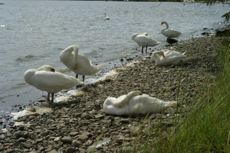 f:id:pprzrggn:20120907215412j:image f:id:pprzrggn:20120907215412j:image