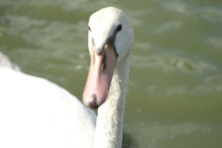 f:id:pprzrggn:20120907222222j:image f:id:pprzrggn:20120907222222j:image