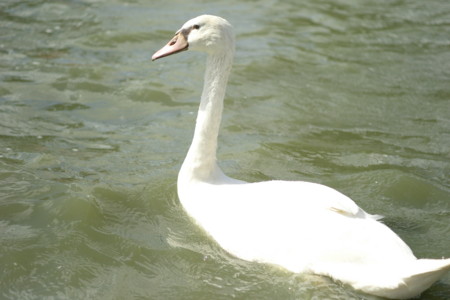 f:id:pprzrggn:20120907222259j:image f:id:pprzrggn:20120907222259j:image