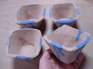 f:id:prader-willi:20080126234826j:image