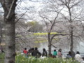 [090405長居植物園花見]