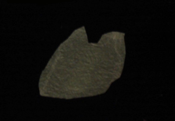 f:id:prader-willi:20101002213620j:image:w300 f:id:prader-willi:20101002213620j:image:w300