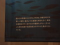 [110910海モンスター]
