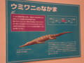 [110910海モンスター]
