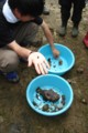 [120602野鳥園生物発見]