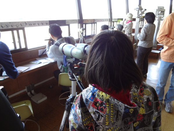f:id:prader-willi:20130506230336j:image:w400