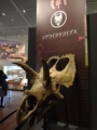 [140322トリケラトプス展]