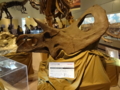 [140322トリケラトプス展]