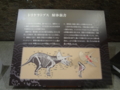 [140322トリケラトプス展]