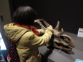 [140322トリケラトプス展]