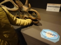 [140322トリケラトプス展]