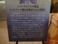 [140322トリケラトプス展]