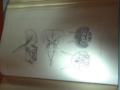 [140322トリケラトプス展]