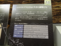 [140322トリケラトプス展]