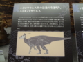 [140322トリケラトプス展]