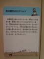 [140720自然史博物館招待]