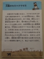 [140720自然史博物館招待]