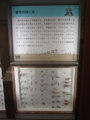 [140720自然史博物館招待]