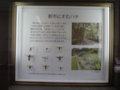 [140720自然史博物館招待]