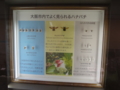 [140720自然史博物館招待]