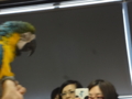 [150614動物学園祭]