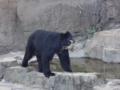 [160109天王寺動物園]