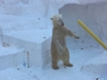 [160109天王寺動物園]