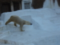 [160109天王寺動物園]