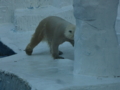 [160109天王寺動物園]