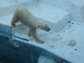 [160109天王寺動物園]