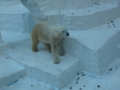 [160109天王寺動物園]