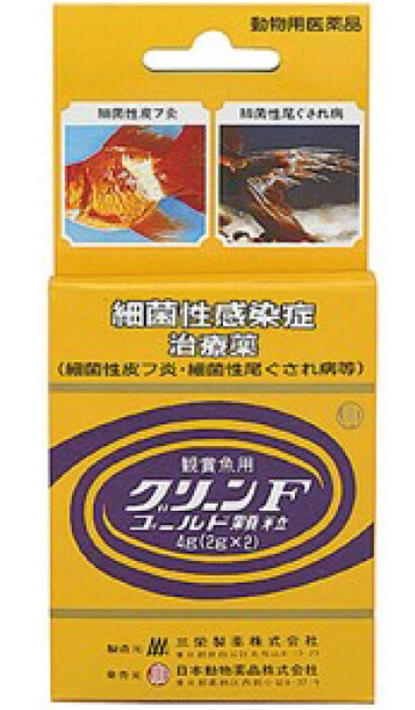 f:id:prarara:20200523171936j:image f:id:prarara:20200523171936j:image