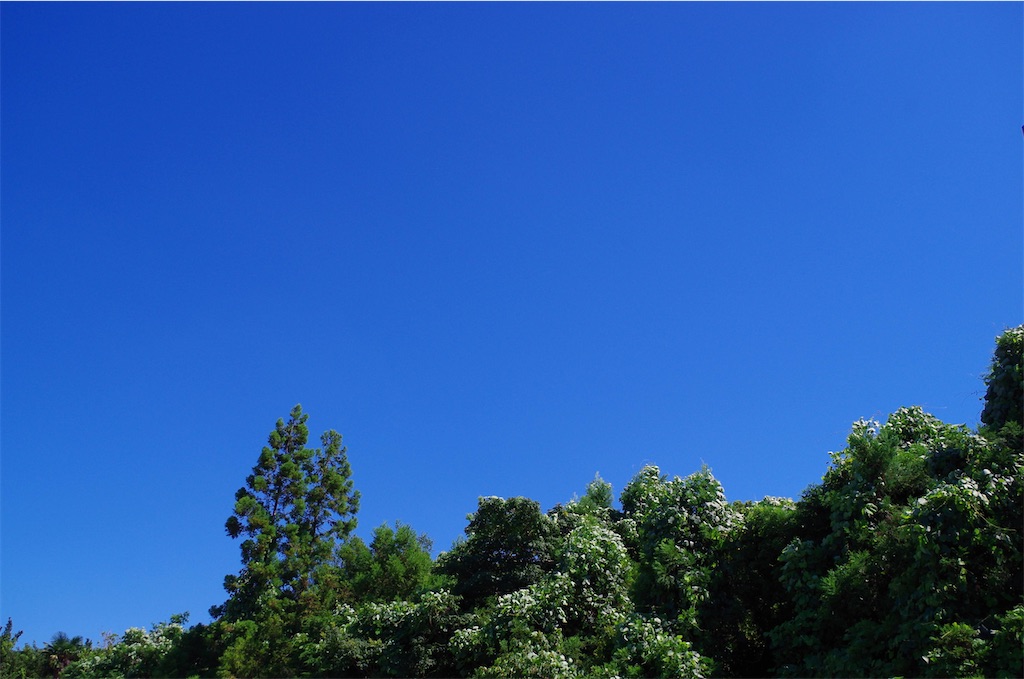 f:id:prarara:20200816144256j:image f:id:prarara:20200816144256j:image
