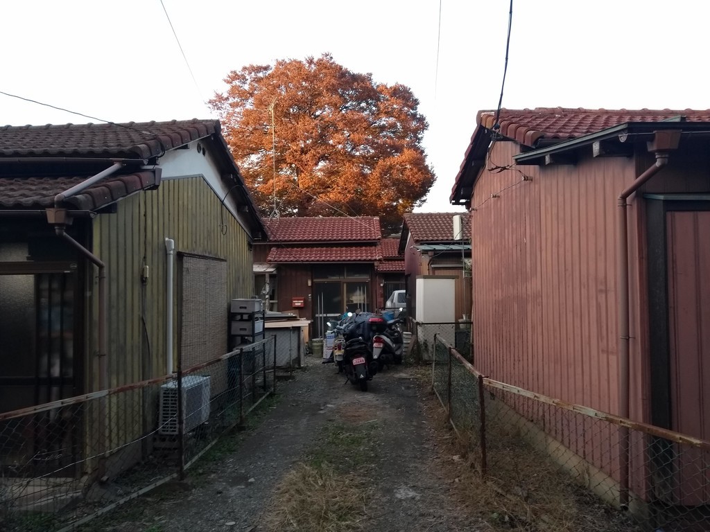 f:id:pratto:20181123160015j:plain f:id:pratto:20181123160015j:plain