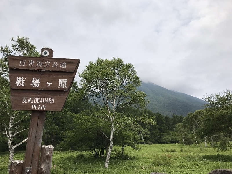 イメージ 13
