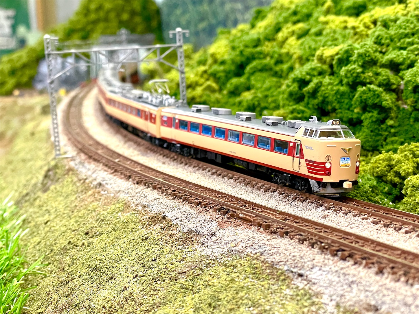 TOMIX 485系 1500番台　はつかりセットバラし組み　特急いりかりタイプ TOMIX 485系 1500番台 はつかりセットバラし組み 特急いりかりタイプ 485