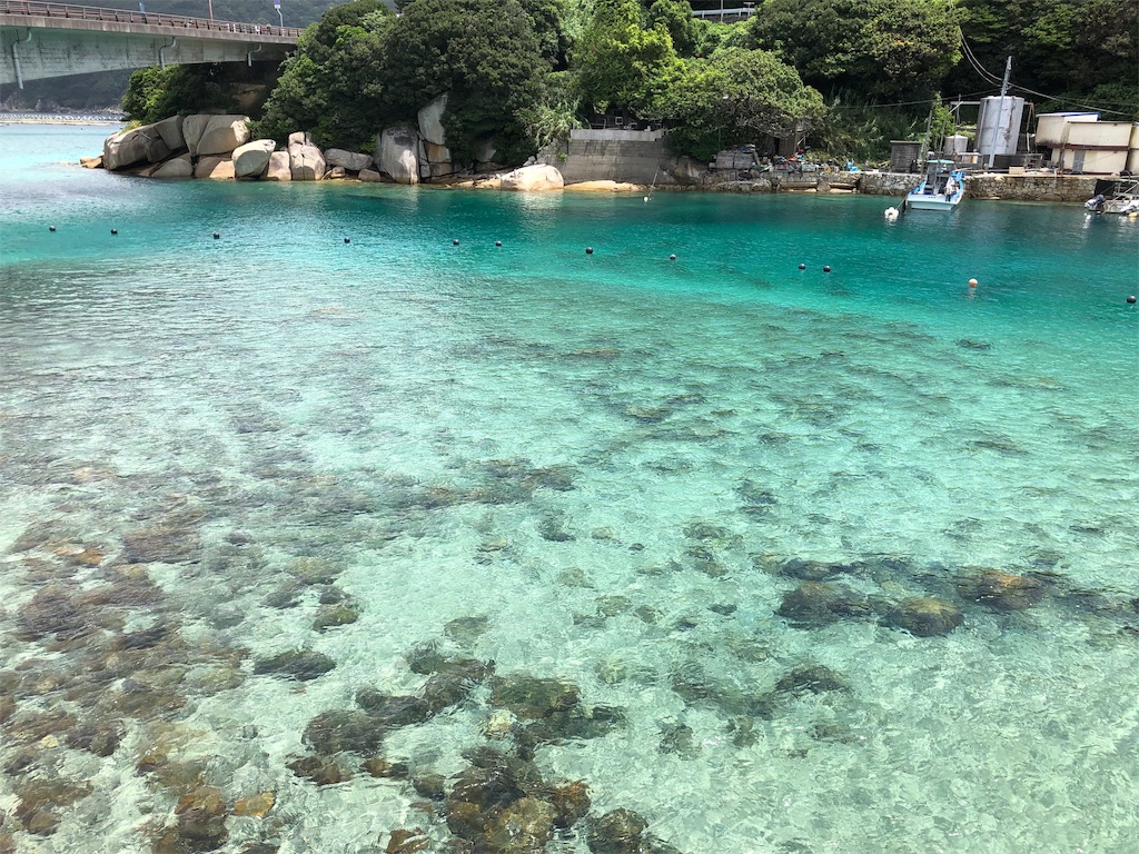 f:id:precious2503:20190808123346j:image