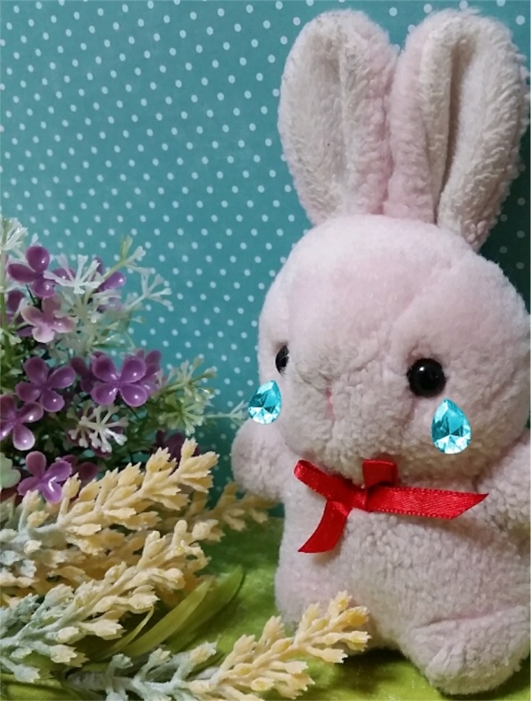 f:id:precious2503:20190906235356j:image f:id:precious2503:20190906235356j:image