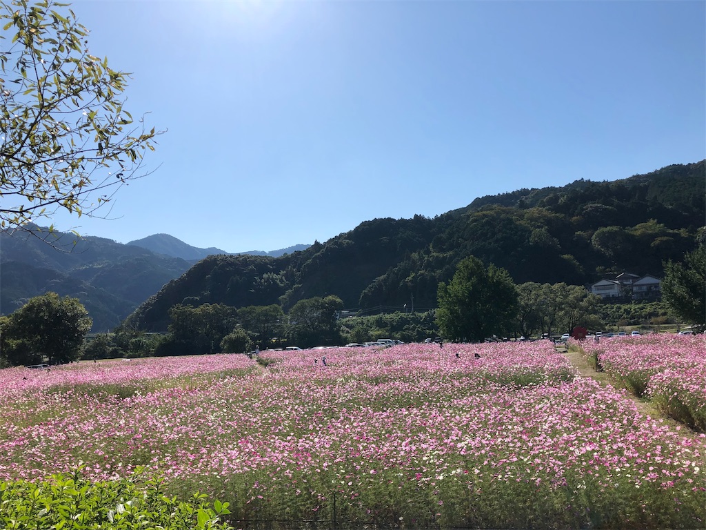 f:id:precious2503:20191017114929j:image f:id:precious2503:20191017114929j:image