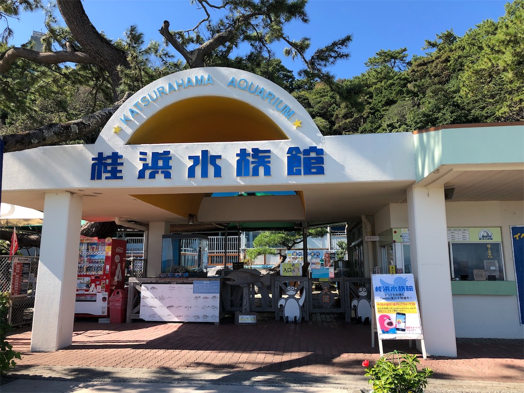 f:id:precious2503:20191109141055j:image