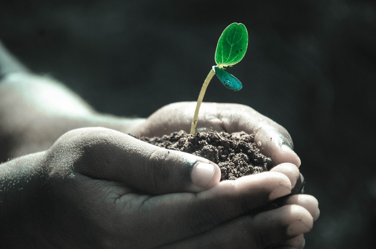 f:id:precious2503:20191124113839j:plain