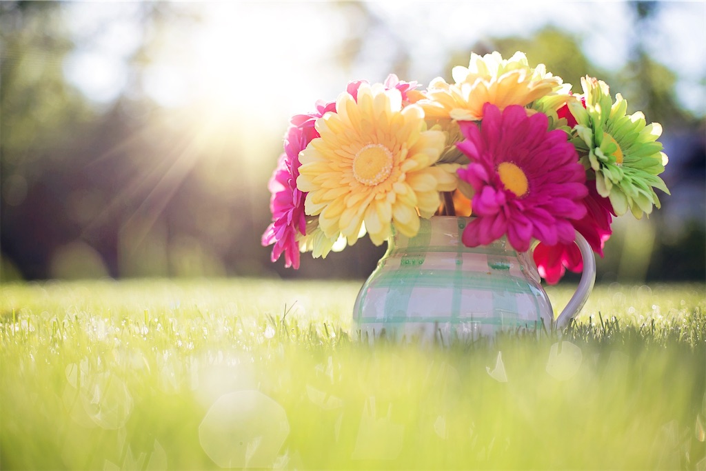 f:id:precious2503:20220417162056j:image f:id:precious2503:20220417162056j:image