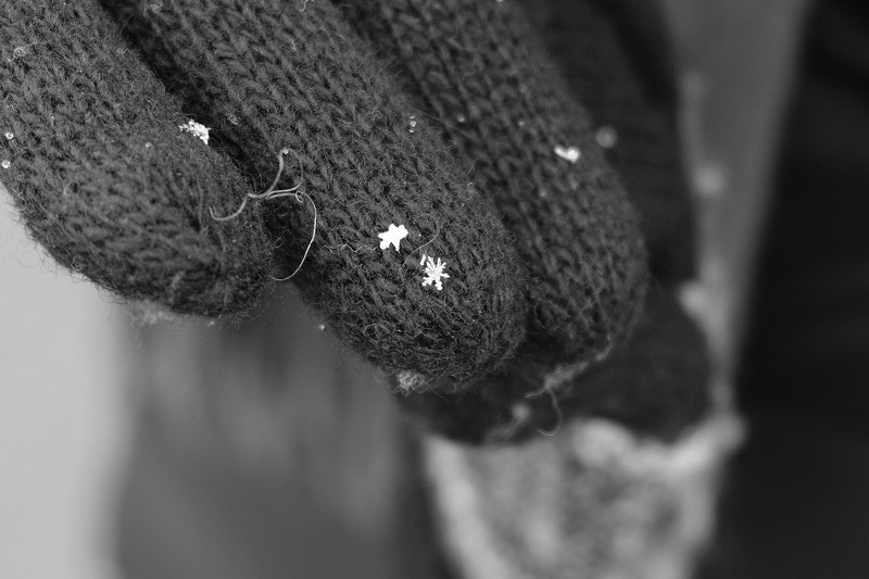 f:id:preciousjunk:20180128175654j:plain
