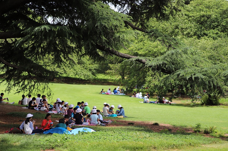 f:id:preciousjunk:20180704214128j:plain