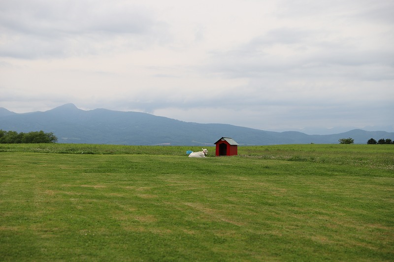 f:id:preciousjunk:20190701231839j:plain