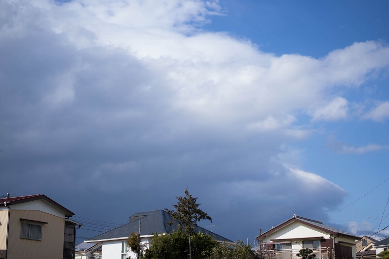 f:id:preciousjunk:20200224180247j:plain