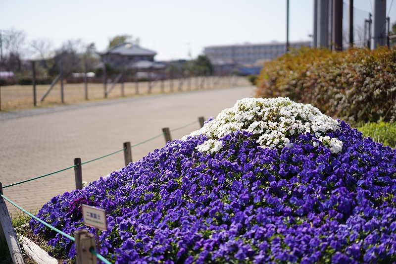 f:id:preciousjunk:20200224180307j:plain