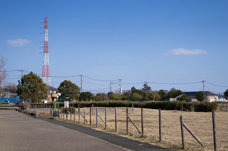 f:id:preciousjunk:20200224180314j:plain